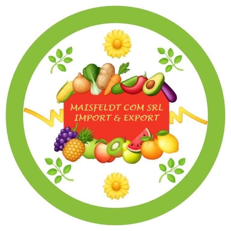 MAISFELDT COM SRL